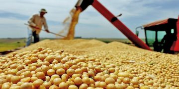 Participação do produtor nas decisões políticas fortalece representatividade do agro